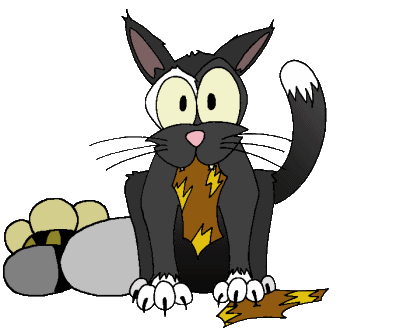Schwarze Katze